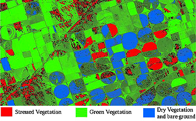 Identification of stressed vegetation from AVIRIS data